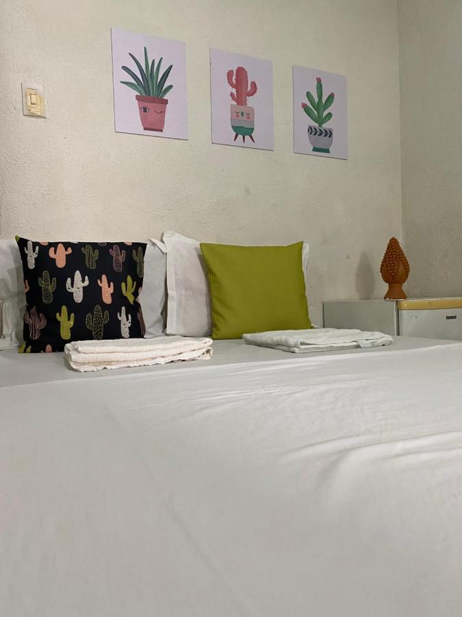 Pousada E Hostel Pernambucana 累西腓 外观 照片