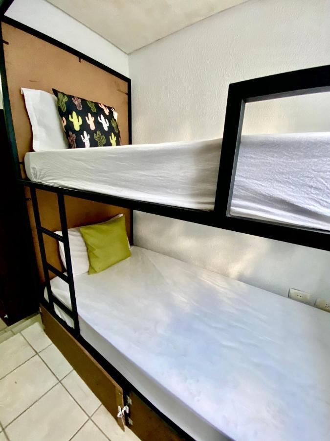 Pousada E Hostel Pernambucana 累西腓 外观 照片