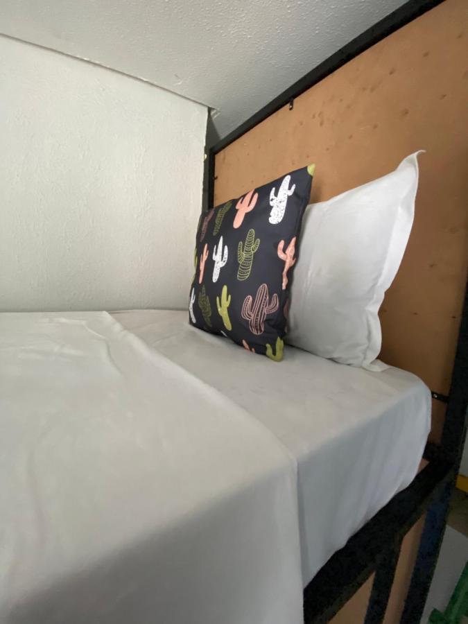 Pousada E Hostel Pernambucana 累西腓 外观 照片