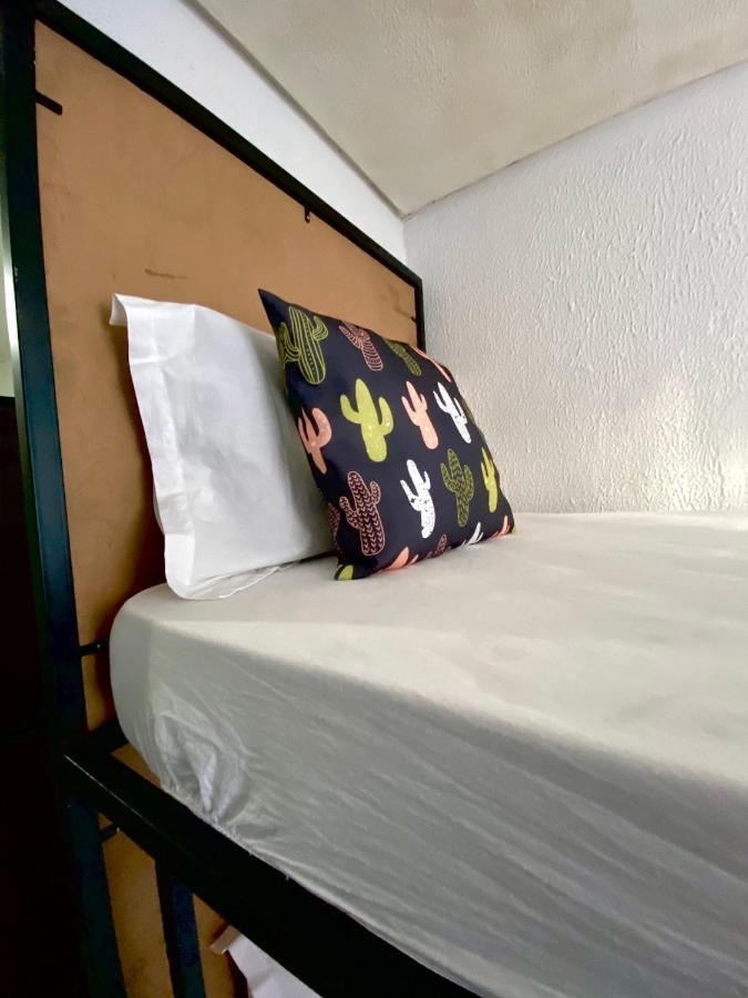 Pousada E Hostel Pernambucana 累西腓 外观 照片