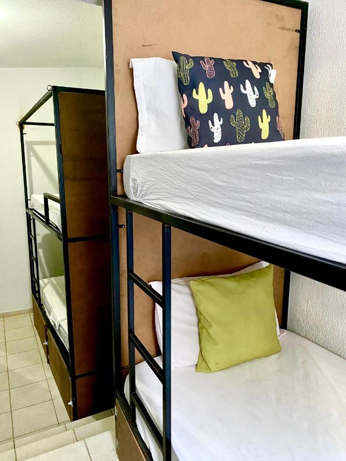 Pousada E Hostel Pernambucana 累西腓 外观 照片